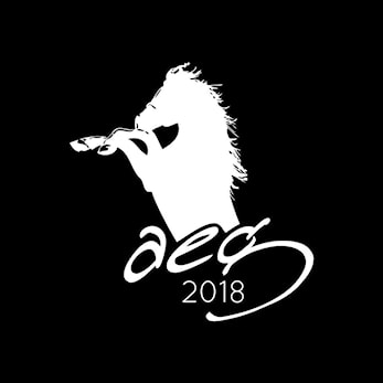 AEG - Arctic Equestrian Games - Norges største Hesteshow!